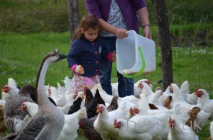 Dietitian UK: Feeding the birds at "Le Vay"