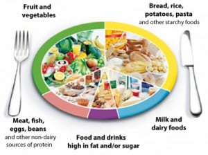 eatwell plate 377 sized