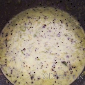 Kiwi Froyo 1