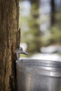 Dietitian UK: Plant Waters