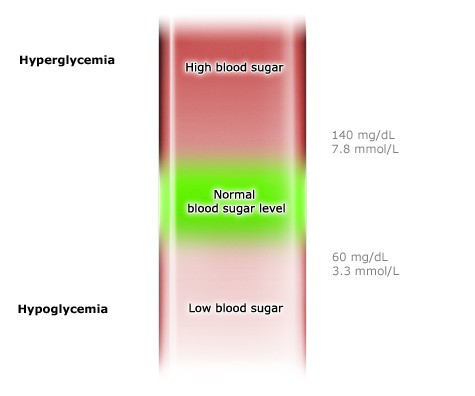 continual glucose monitoring
Blood sugar: Normal range between hyperglycemia and hypoglycemia