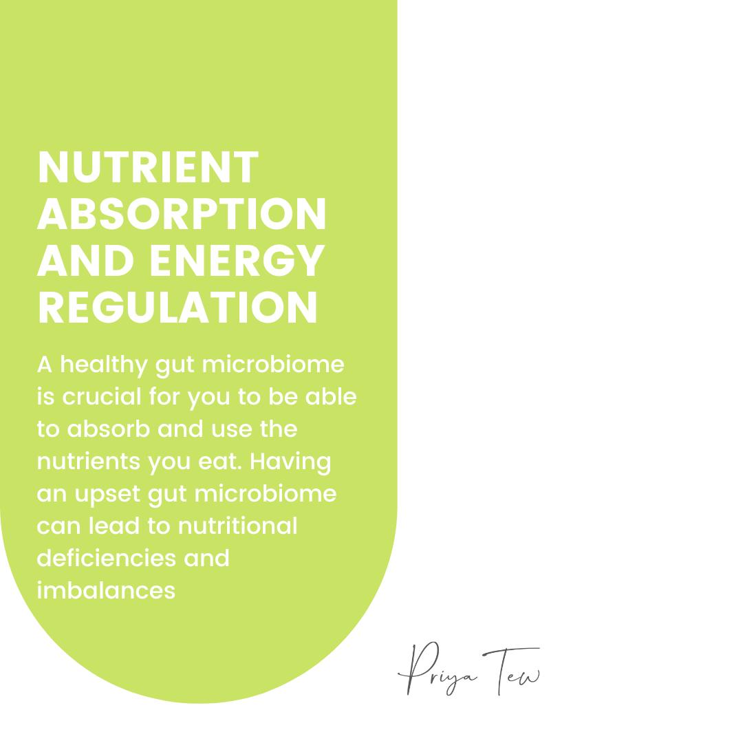 How a healthy gut microbioms is crucial for you to be able to absorb and use the nutrients you eat